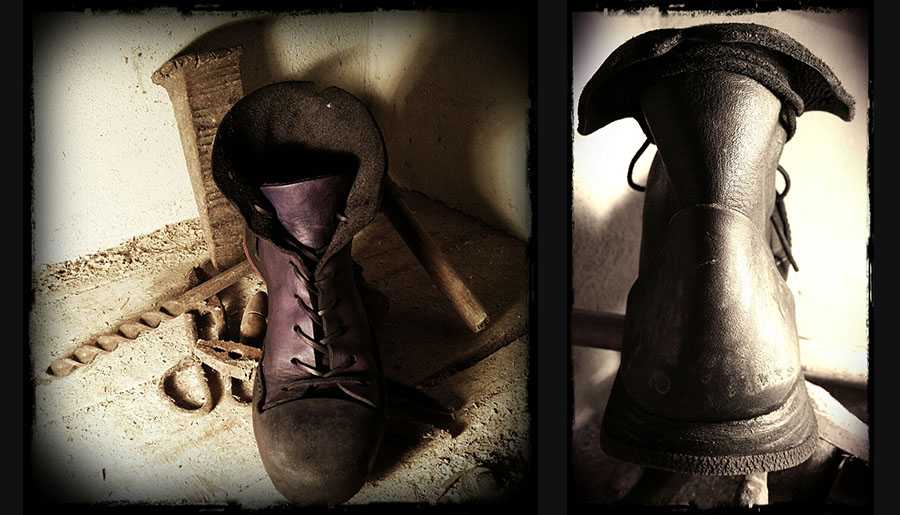 BTS - Color Loganberry